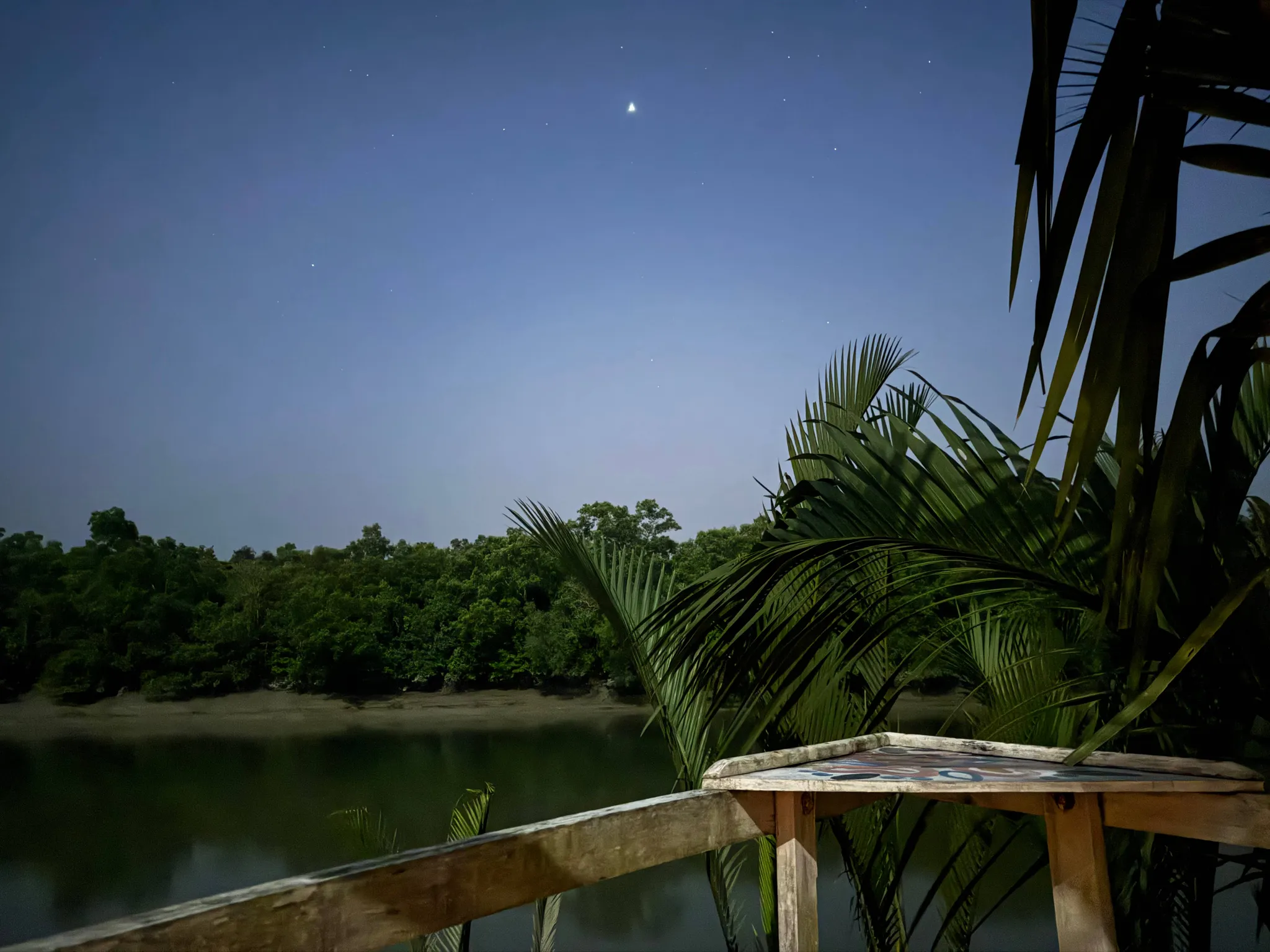 Evening Sight On The Bank Of A Sundarbonian River