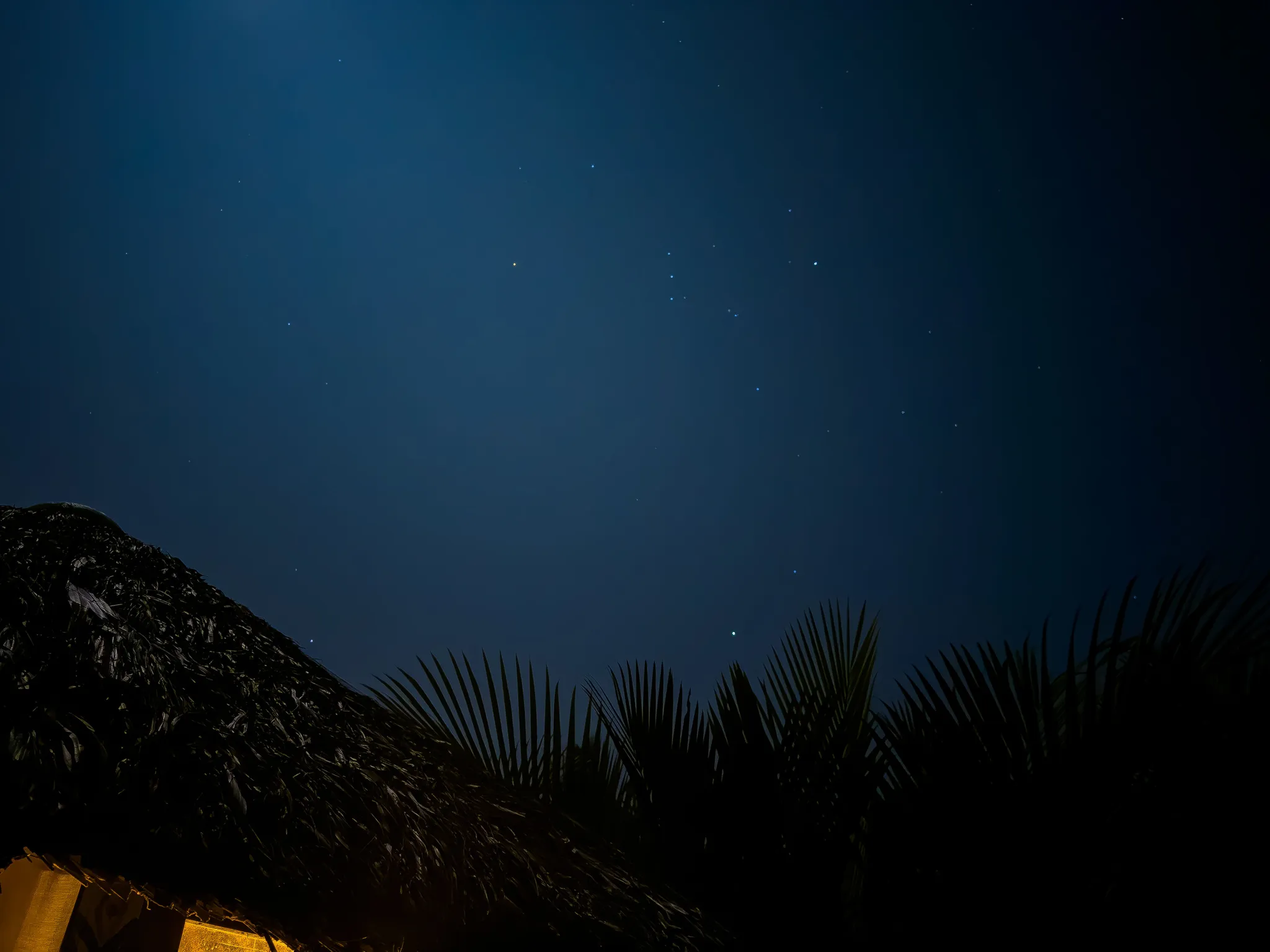 The Big Dipper Above The Sundarbon