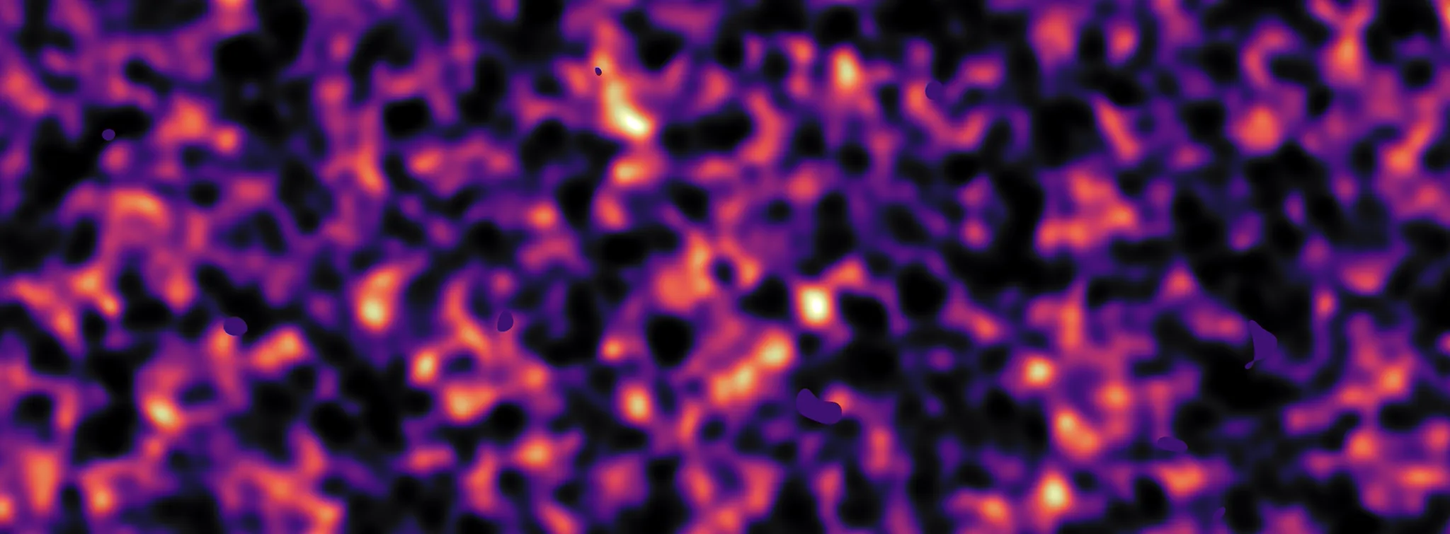 Dark Matter Predictor
